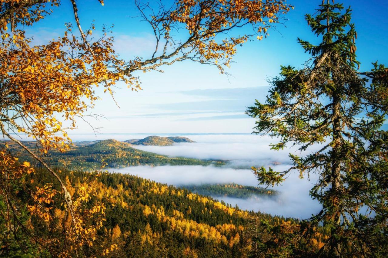 Break Sokos Hotel Koli Kylae Экстерьер фото