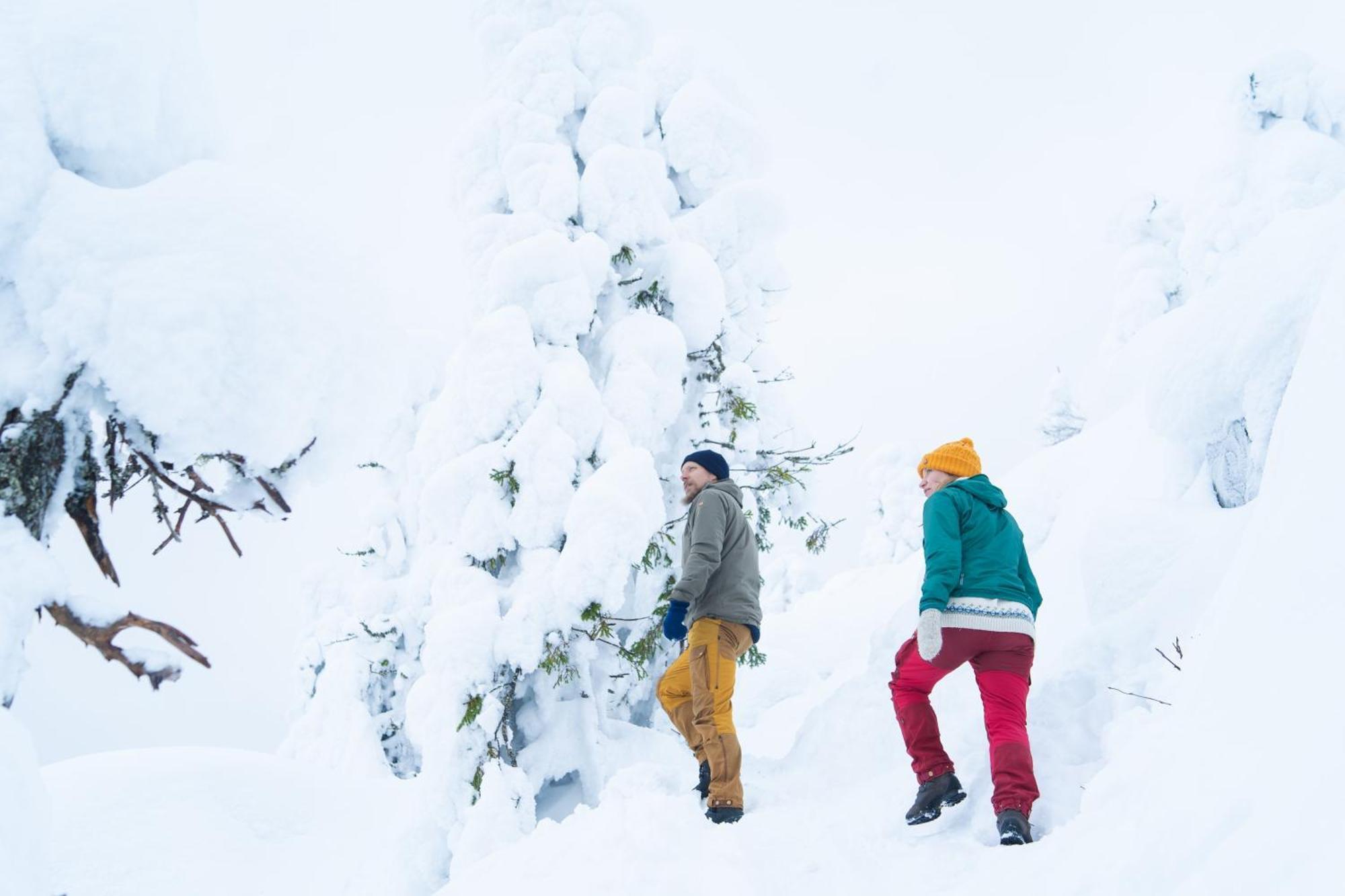 Break Sokos Hotel Koli Kylae Экстерьер фото