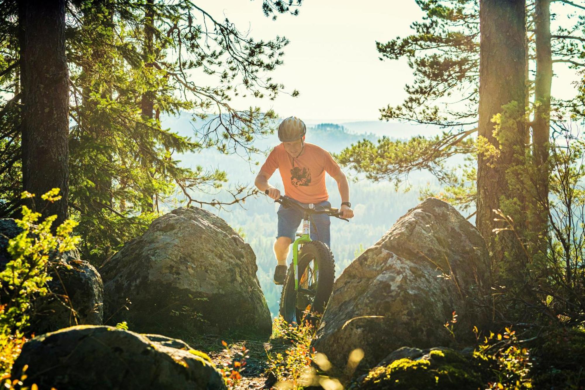 Break Sokos Hotel Koli Kylae Экстерьер фото